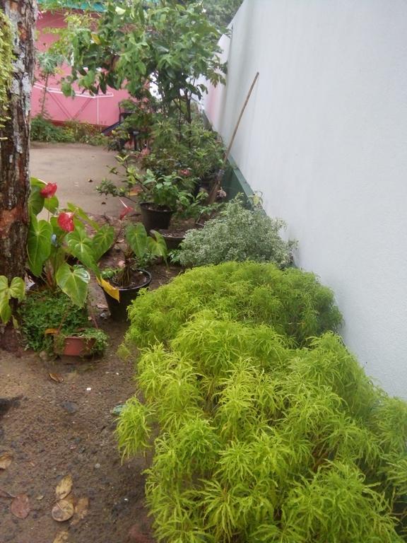 Little Pink House Apartment Mirissa Exterior photo